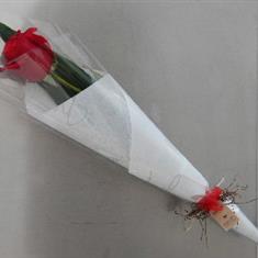 Single Red Rose