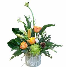 Eco friendly Arrangement 