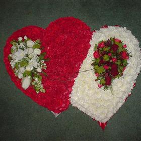 fwthumbDSC02482.jpg