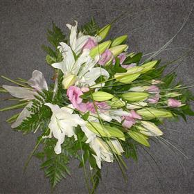 fwthumbDsc01290.jpg